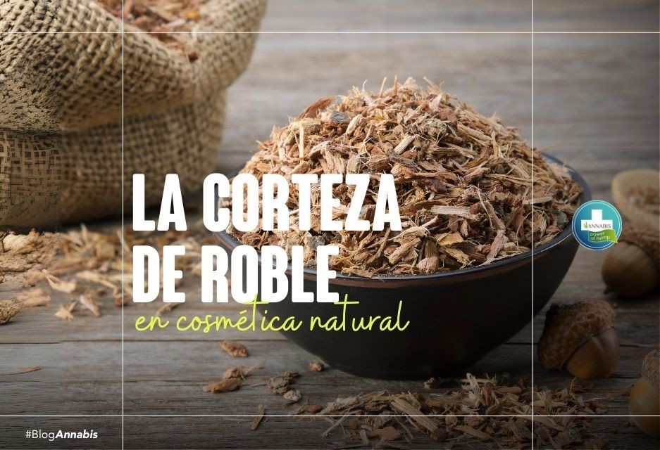 La corteza de roble en cosmética natural